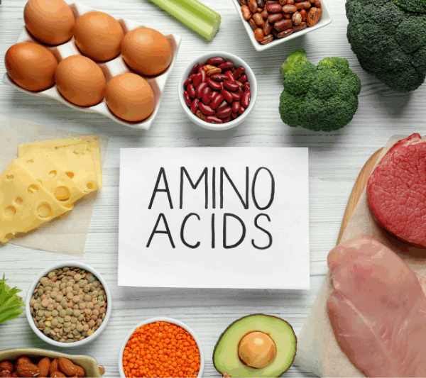アミノ酸を摂れる食べ物とは？必須アミノ酸の種類や役割も解説