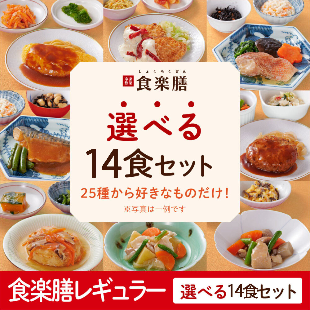 ≪WEB限定≫レギュラー　選べる14食セット