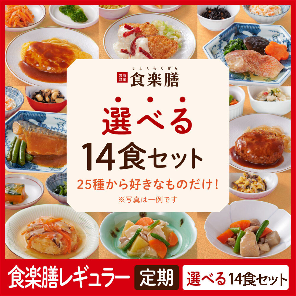 ≪WEB限定≫【定期】レギュラー　選べる14食セット